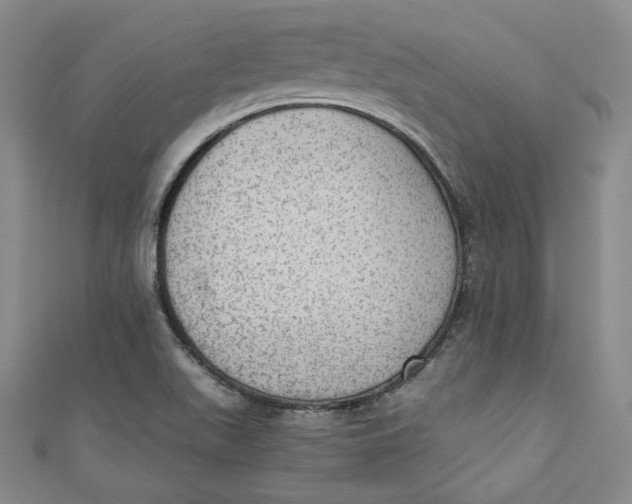 X0000110891511200907091343