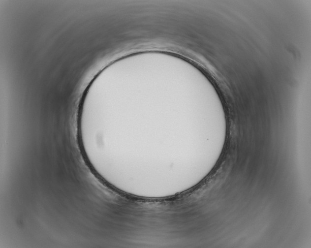 X0000110891512200907091343