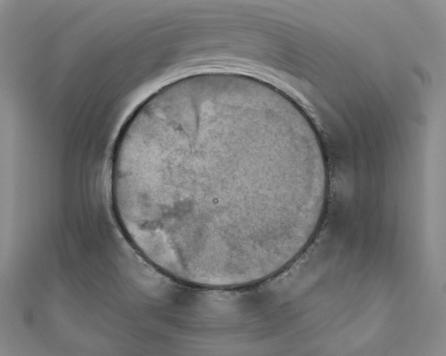 X0000110891514200907091343