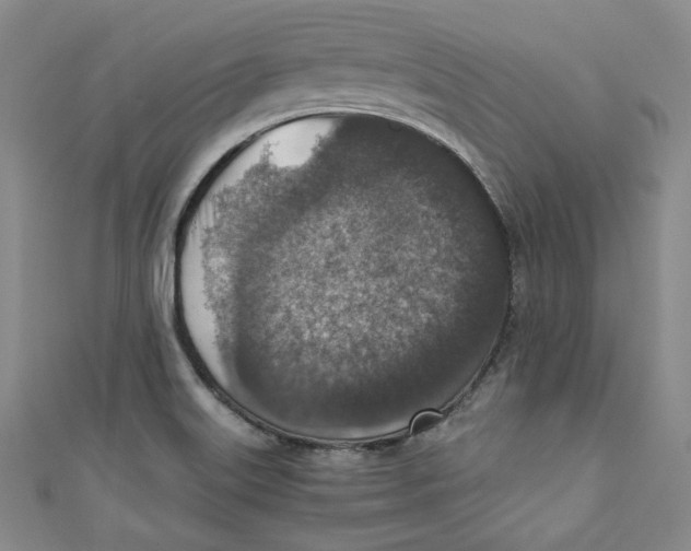 X0000110891515200907091343