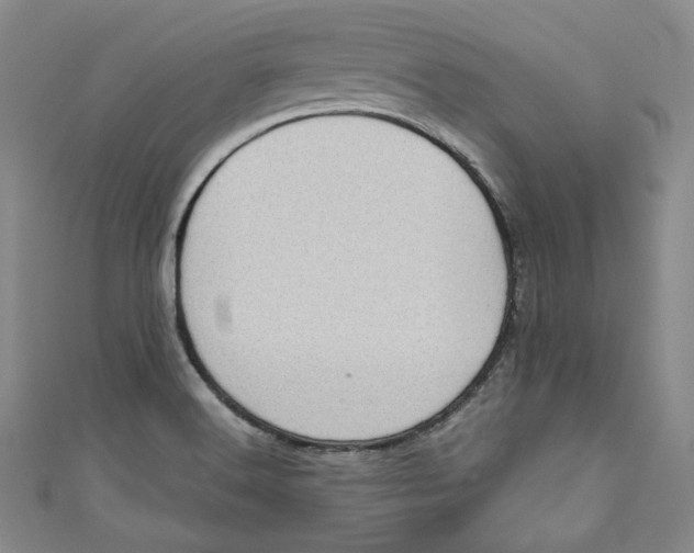 X0000110891516200907091343