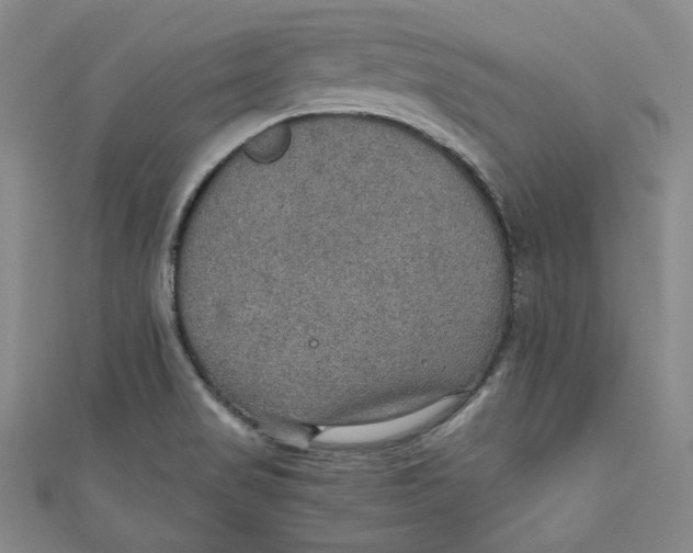 X0000110891517200907091343