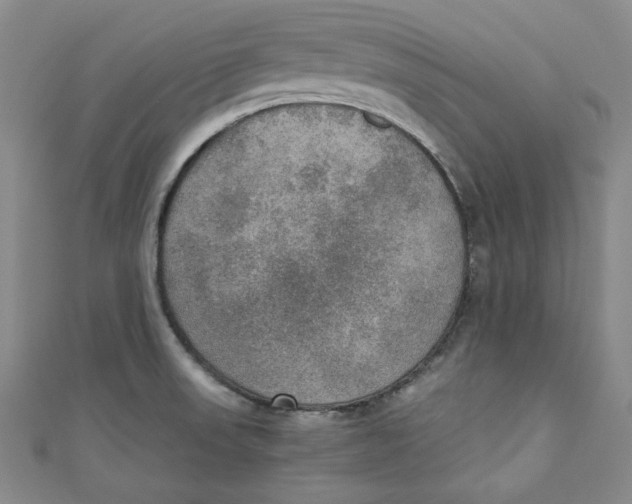 X0000110891523200907091343