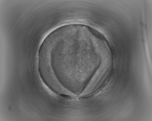 X0000110891524200907091343