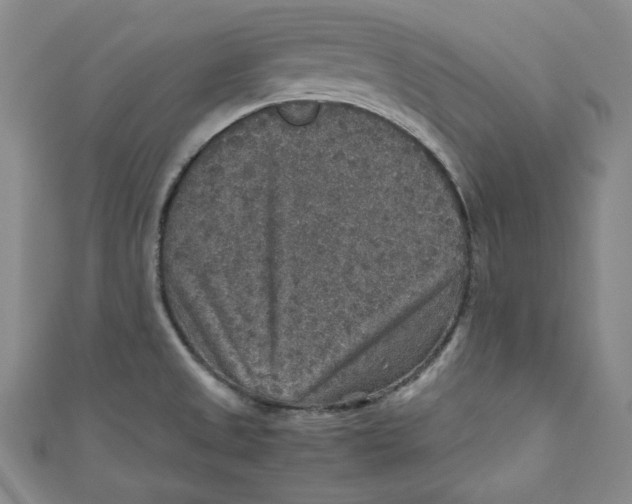 X0000110891525200907091343