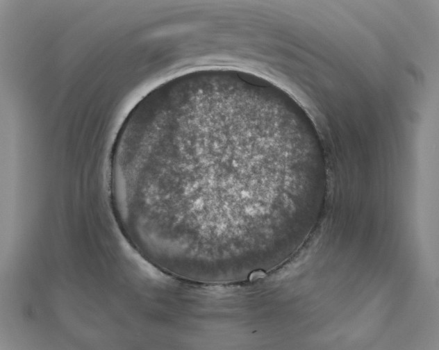 X0000110891527200907091343