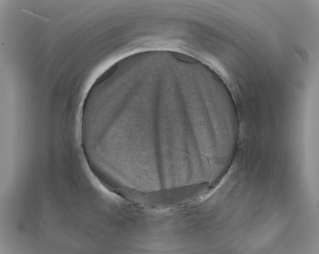 X0000110891528200907091343