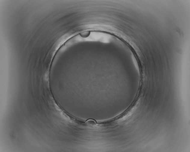 X0000110891529200907091343