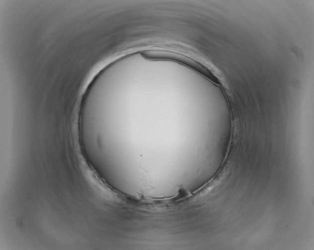 X0000110891530200907091343