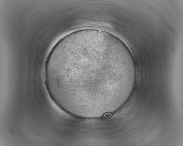 X0000110891531200907091343