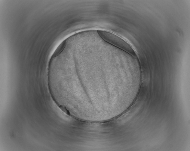 X0000110891532200907091343