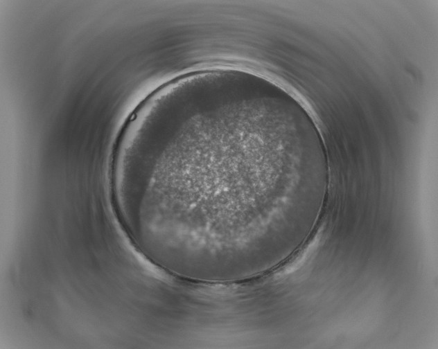 X0000110891533200907091343