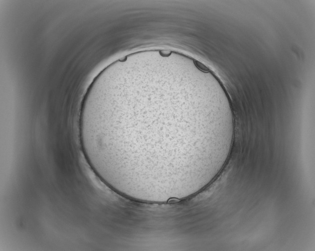 X0000110891534200907091343