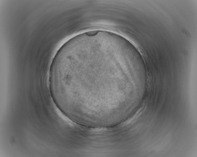 X0000110891535200907091344