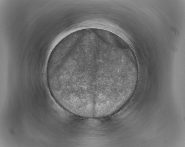 X0000110891536200907091344