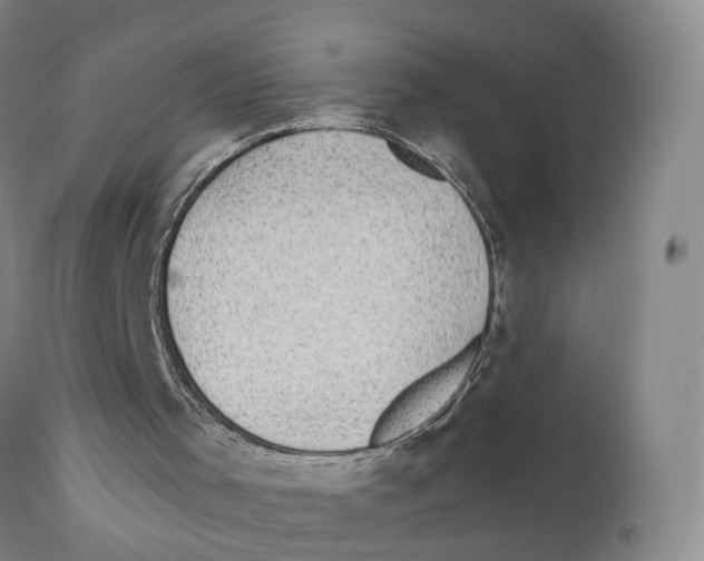 X0000110890001200907161538