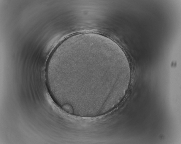 X0000110890002200907161538