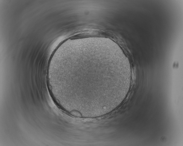X0000110890003200907161538