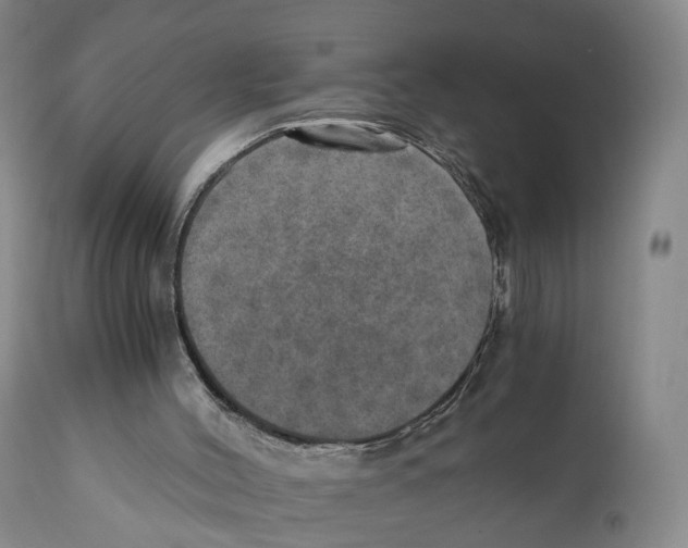X0000110890004200907161538