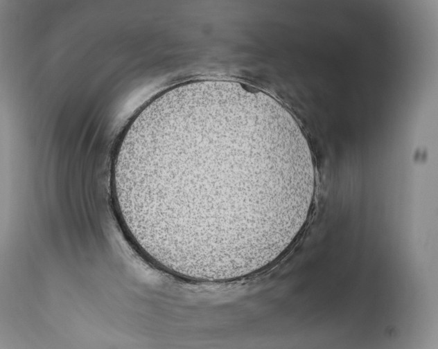 X0000110890005200907161538