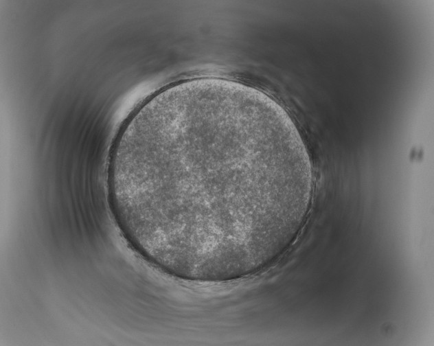 X0000110890006200907161538