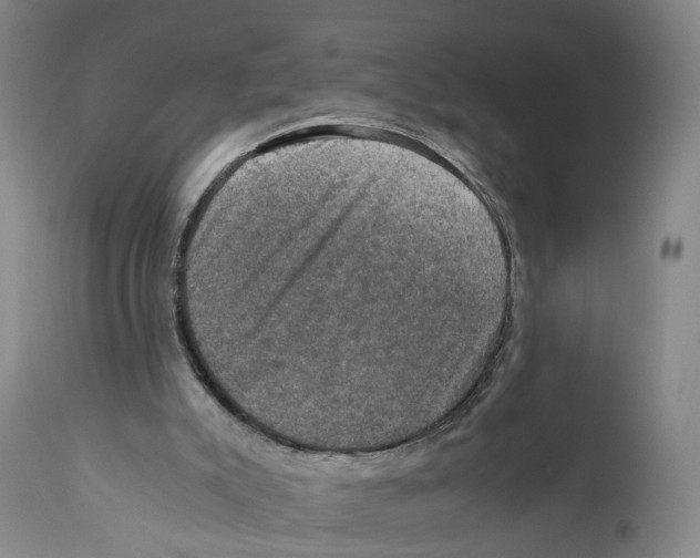 X0000110890007200907161538