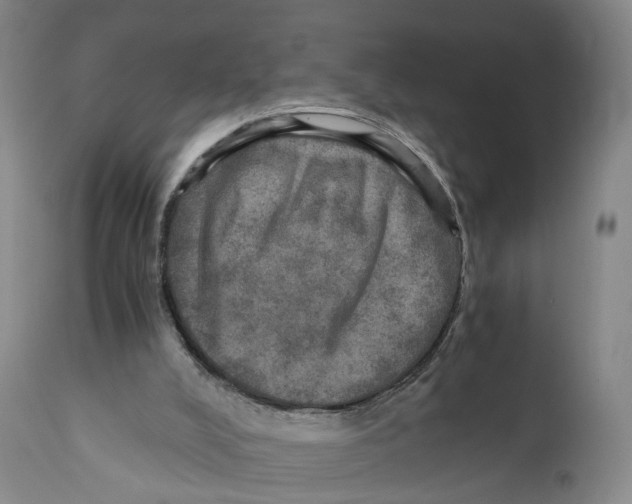 X0000110890008200907161538