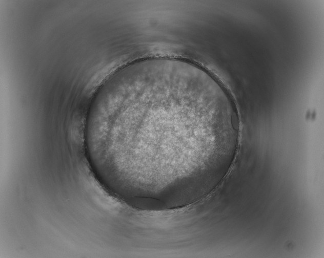 X0000110890009200907161538