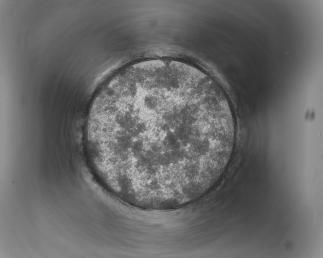 X0000110890010200907161537