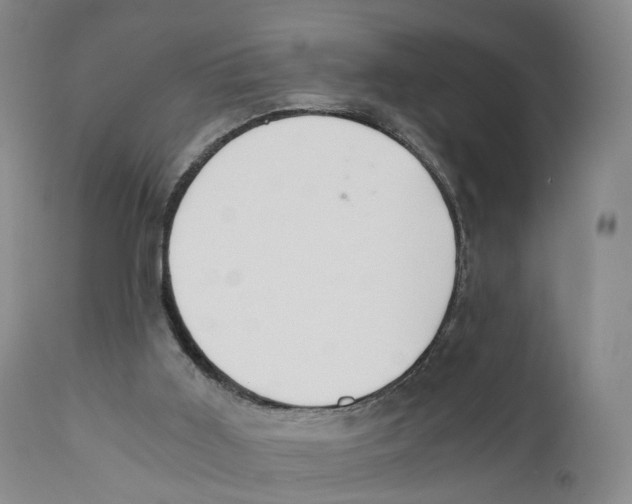 X0000110890011200907161537
