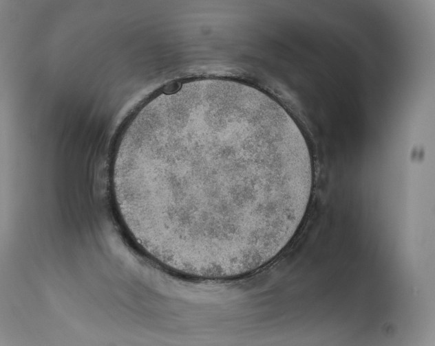 X0000110890012200907161537