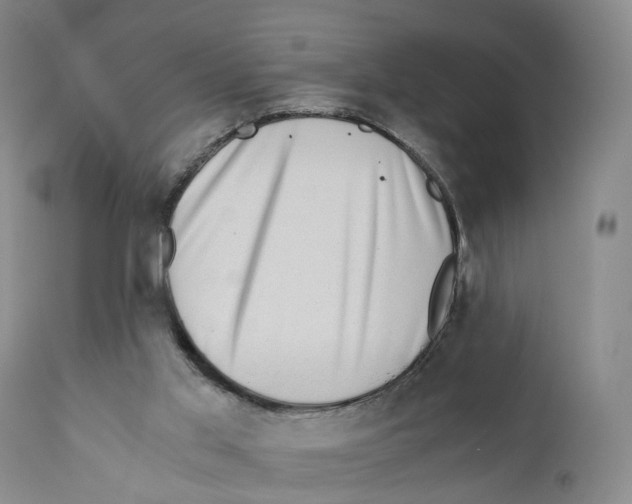 X0000110890013200907161537