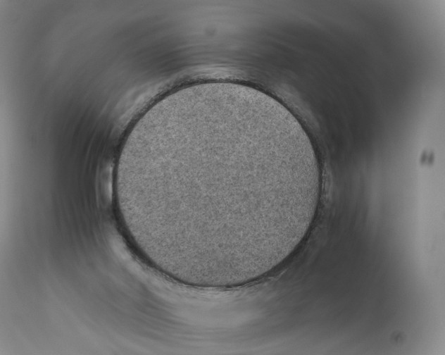 X0000110890014200907161537