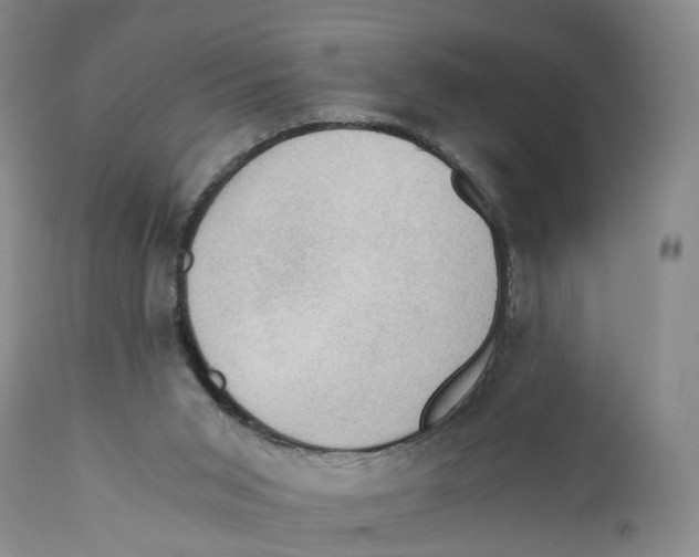 X0000110890015200907161537
