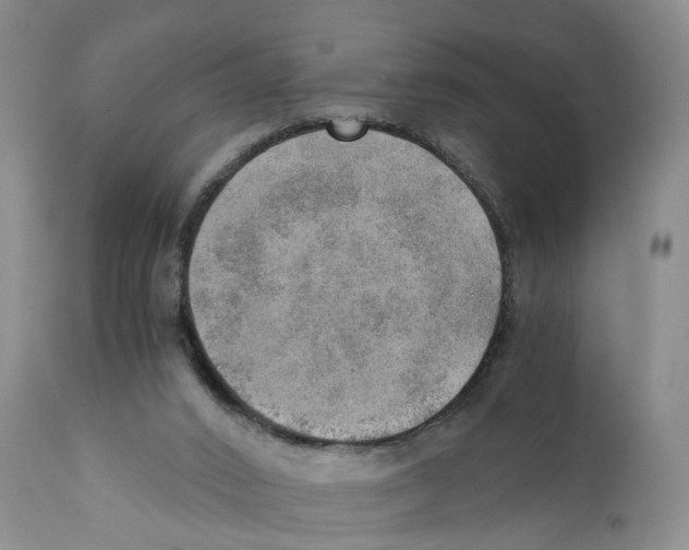 X0000110890016200907161537