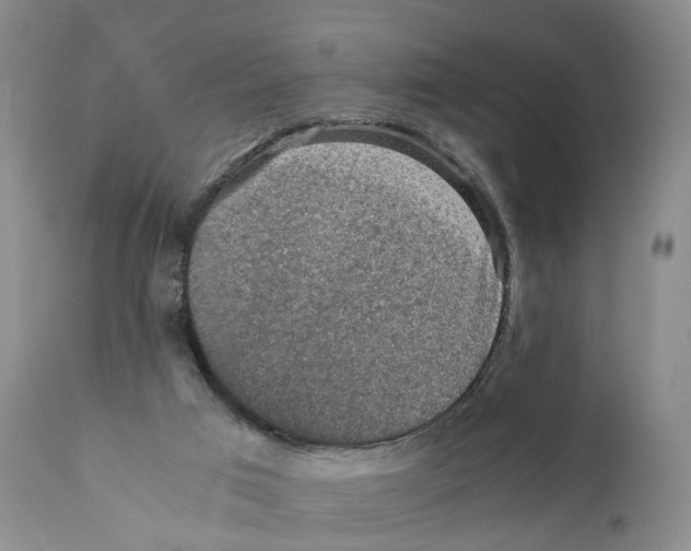 X0000110890017200907161537