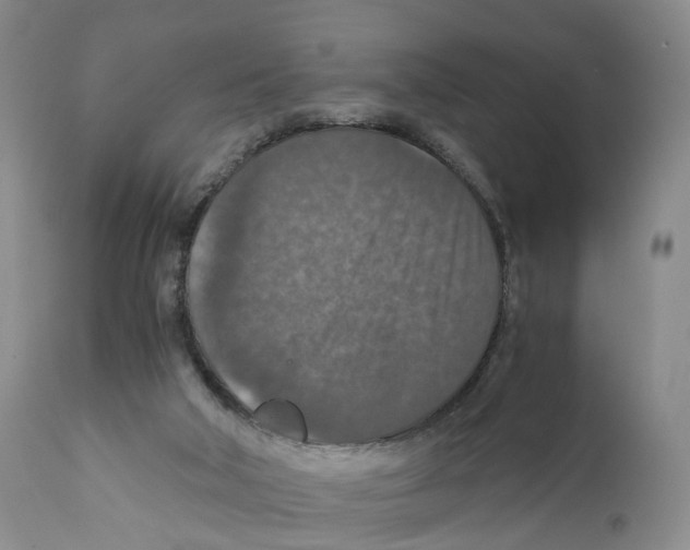 X0000110890018200907161537
