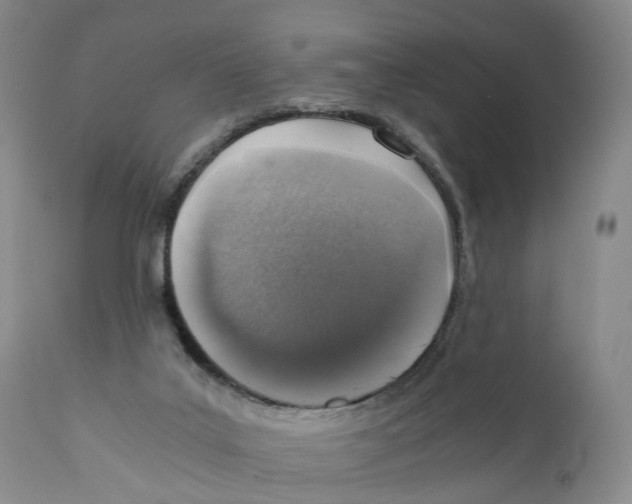X0000110890019200907161537