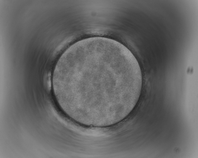 X0000110890020200907161537