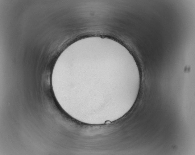 X0000110890021200907161537