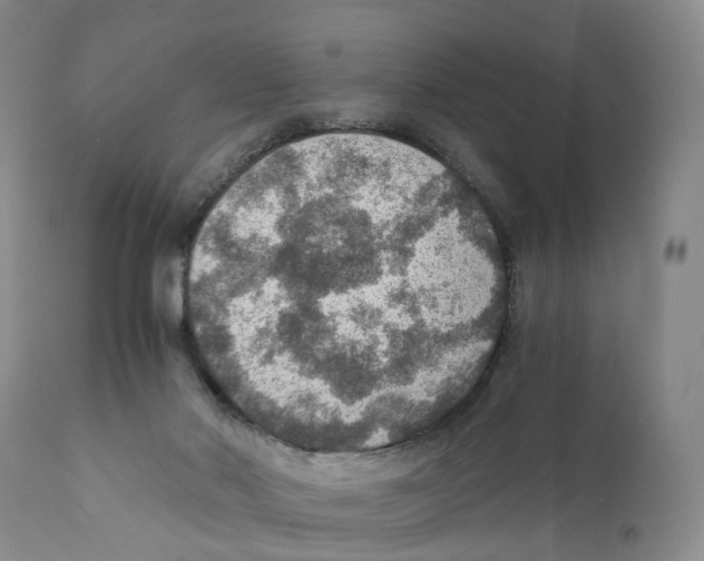 X0000110890022200907161537