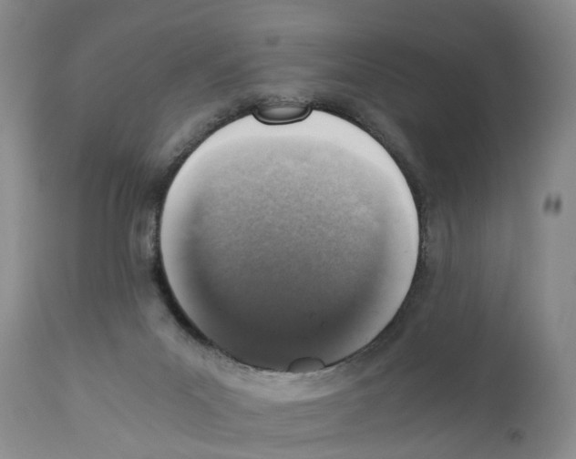 X0000110890023200907161537