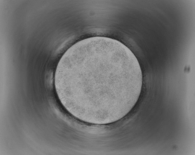 X0000110890024200907161537