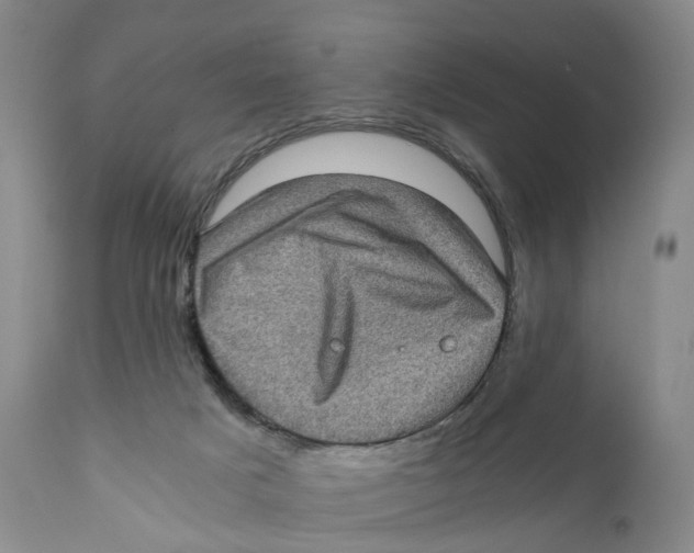 X0000110890025200907161537