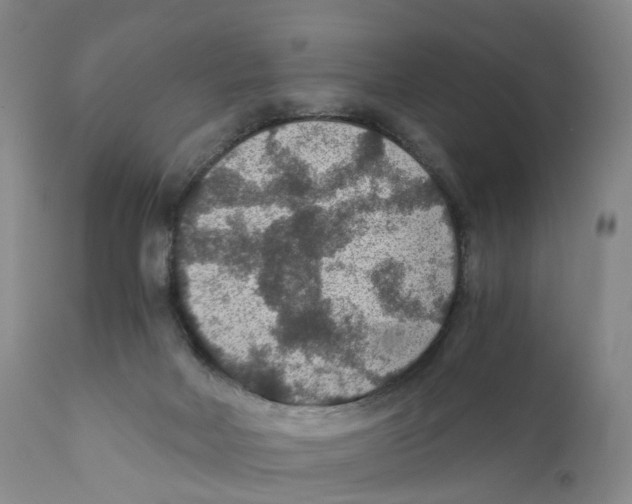 X0000110890026200907161537