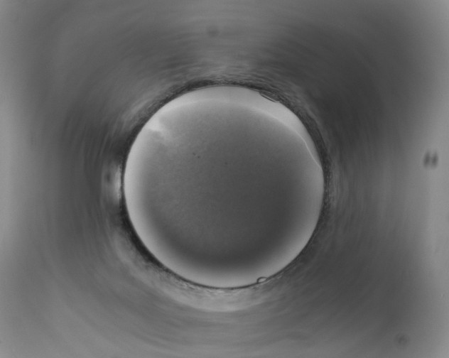 X0000110890027200907161537