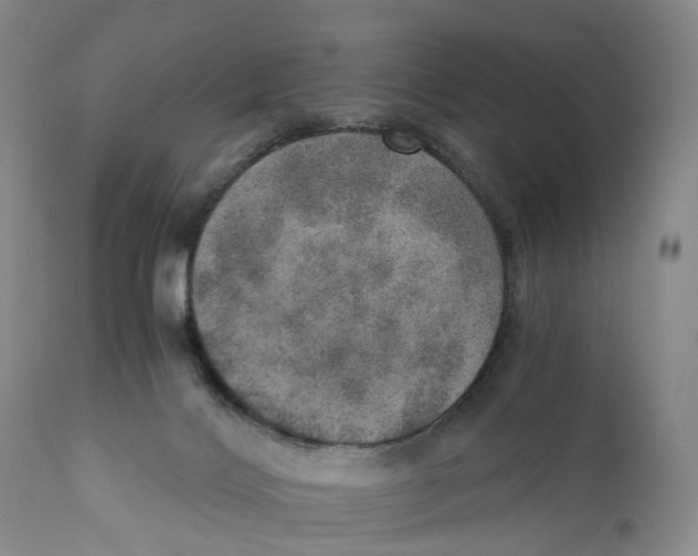 X0000110890028200907161537