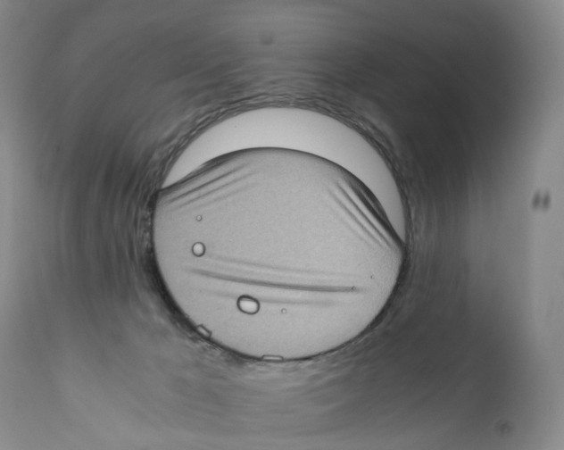 X0000110890029200907161537