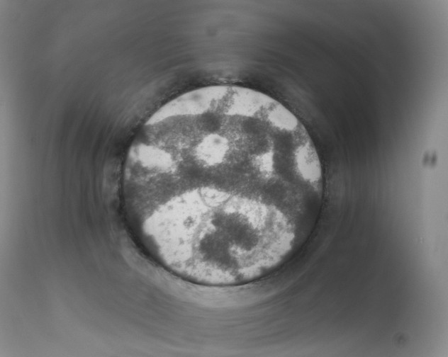X0000110890030200907161537