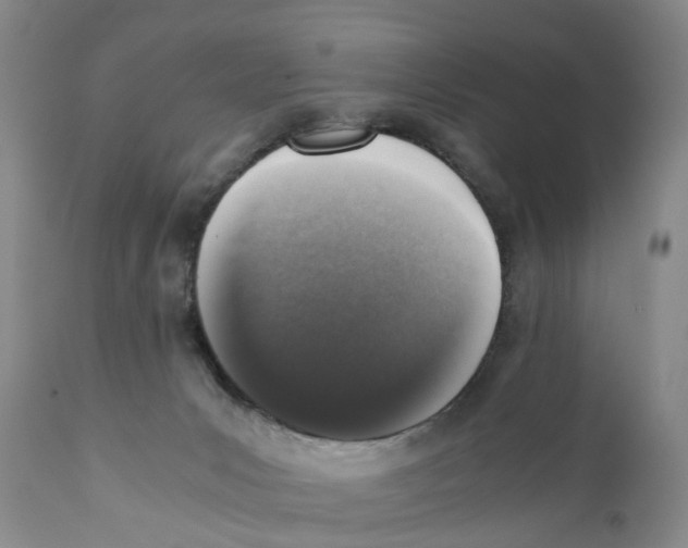 X0000110890031200907161537